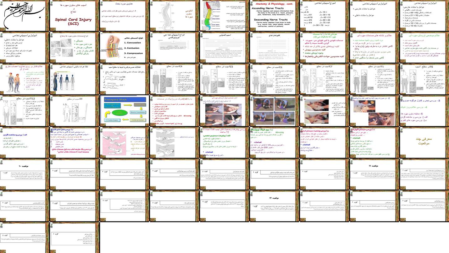 دانلود پروژه بررسی و تحلیل آسیب‌های ستون مهره‌ها و نخاع علل علائم و اداره