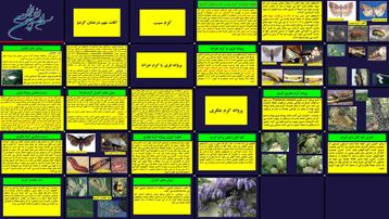 دانلود پروژه بررسی و تحلیل نقش آفات کرم سیب خراط و جگری در درختان