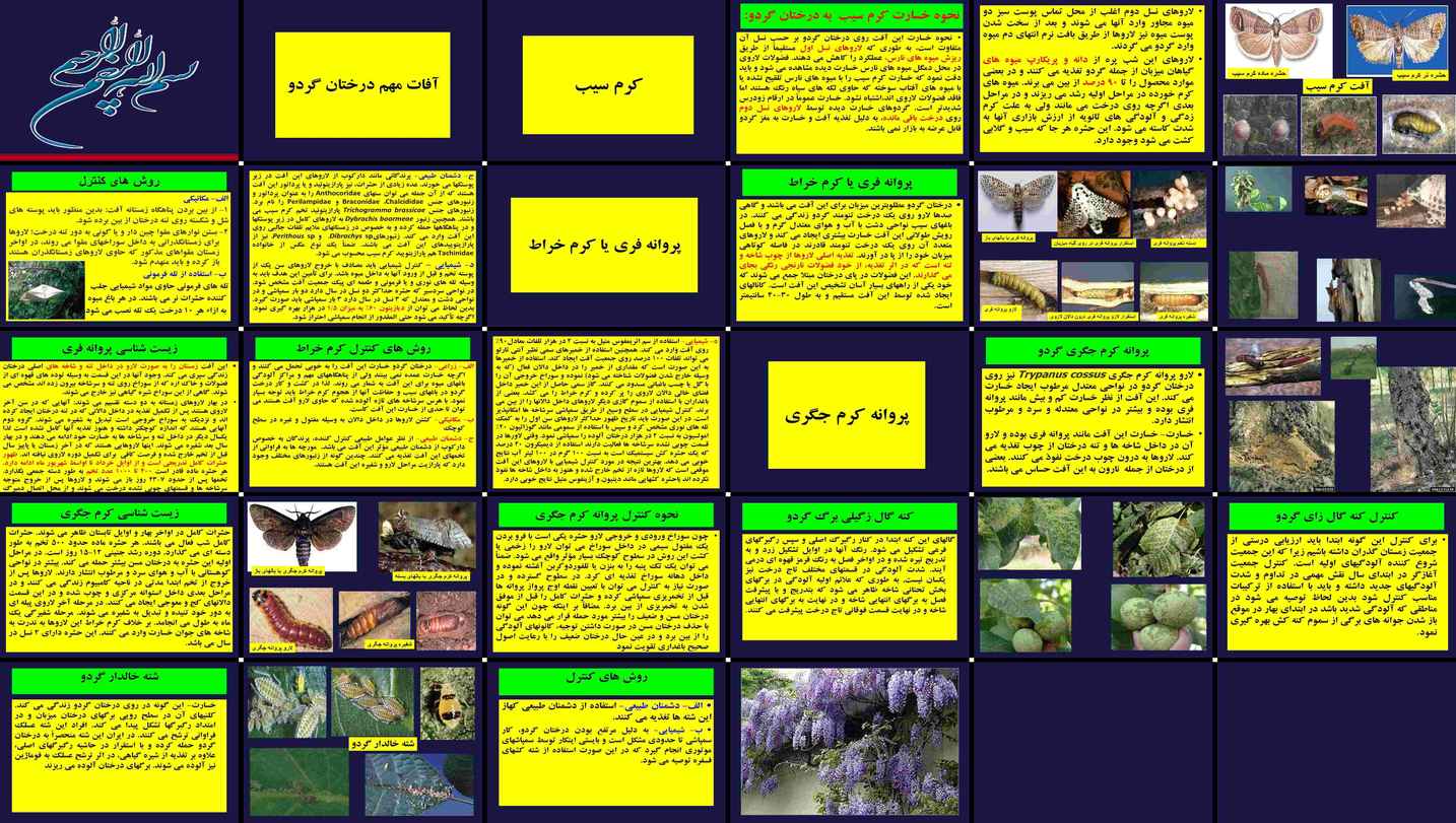 دانلود پروژه بررسی و تحلیل نقش آفات کرم سیب خراط و جگری در درختان