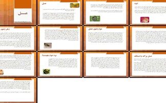 دانلود پروژه بررسی و تحلیل نقش عسل شهد زهر موم و بره موم زنبور
