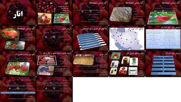 دانلود پروژه بررسی گیاه‌شناسی ارزش غذایی مناطق کشت برداشت انبارداری و فرآورده‌های انار