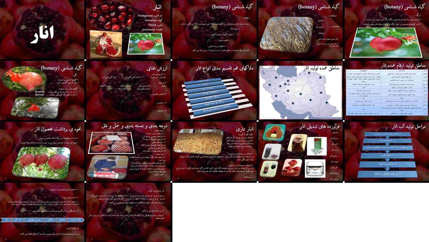 دانلود پروژه بررسی گیاه‌شناسی ارزش غذایی مناطق کشت برداشت انبارداری و فرآورده‌های انار