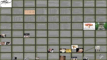 دانلود پروژه تحلیل امکان‌سنجی و توجیه اقتصادی طرح پرورش قارچ خوراکی ۵۰ تنی