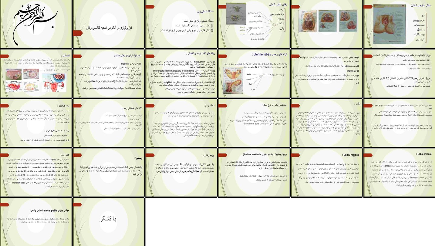 دانلود پروژه تحلیل ساختار و عملکرد دستگاه تناسلی زنان