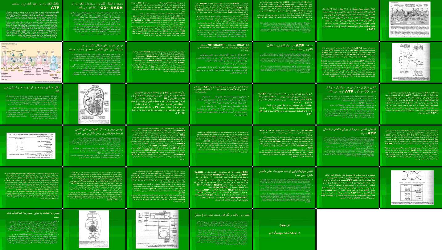 دانلود پروژه مطالعه فسفریلاسیون اکسیداتیو و سنتز ATP در میتوکندری گیاهان
