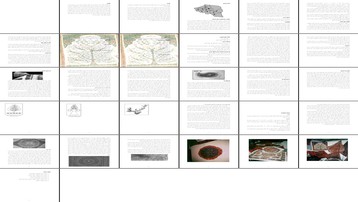 بررسی نقش پته دوزی به عنوان یک صنعت دستی در استان کرمان