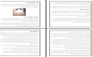 تحلیل بحران خانواده در غرب و راهکارهای اسلامی برای تحکیم بنیان خانواده