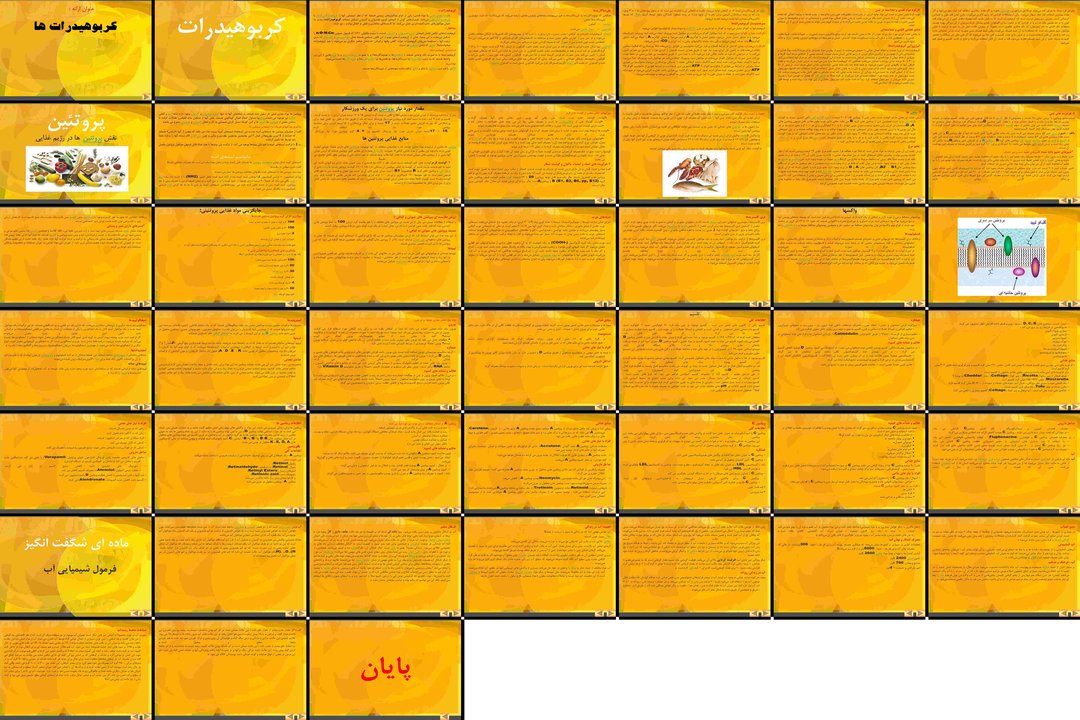 بررسی جامع کربوهیدراتها، پروتئینها، لیپیدها و مواد مغذی