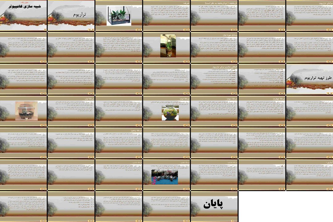 راهنمای جامع ساخت و نگهداری تراریوم خانگی