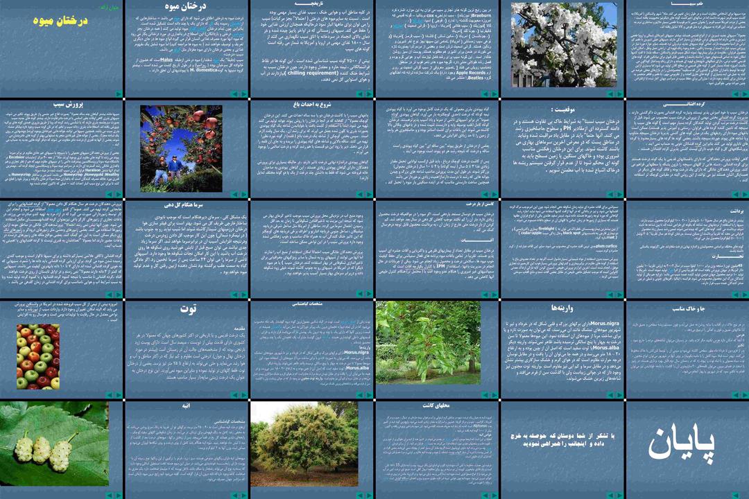راهنمای جامع شناخت و پرورش انواع درختان میوه