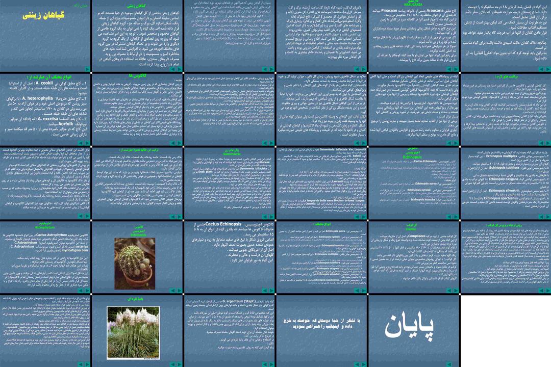 راهنمای جامع پرورش و نگهداری انواع گیاهان زینتی