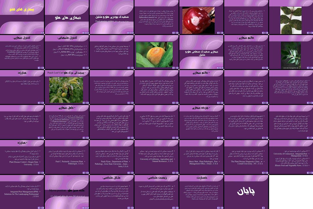 راهنمای جامع شناسایی و مبارزه با بیماریهای هلو