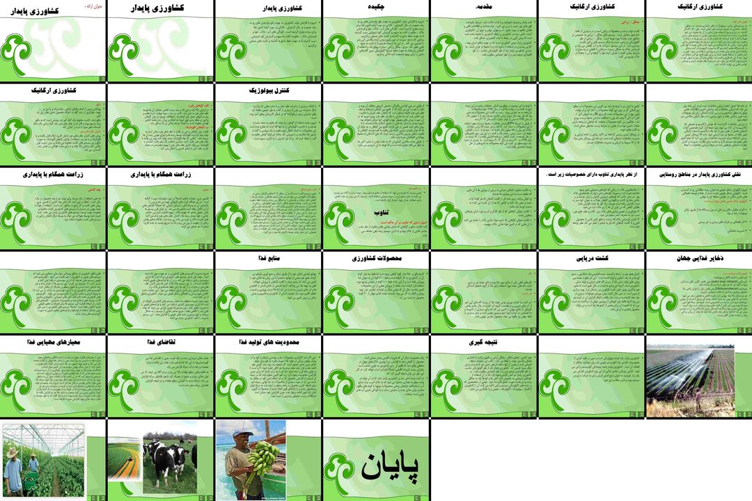 کشاورزی پایدار راهکارهای نوین برای آینده غذایی جهان